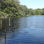 2012-06-19-05-09-53-921×517