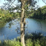 2012-06-19-05-09-05-921×517