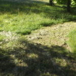 2012-06-19-05-08-26-921×517