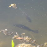 2012-06-19-05-07-19-921×517