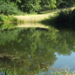 2012-06-19-05-05-41-921×517