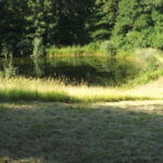 2012-06-19-05-03-43-921×517