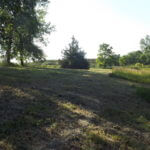 2012-06-19-05-03-13-921×517