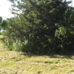 2012-06-19-05-02-22-921×517