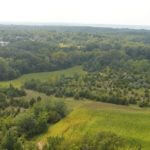 john-oreilly2013-08-26_15-24-24illinois-land-for-sale-fulton-county-hunting-farm-land-921×517