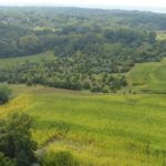 john-oreilly2013-08-26_15-24-23illinois-land-for-sale-fulton-county-hunting-farm-land-921×517