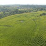 john-oreilly2013-08-26_15-24-13illinois-land-for-sale-fulton-county-hunting-farm-land-921×517