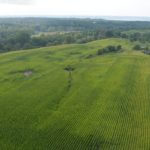 john-oreilly2013-08-26_15-24-12illinois-land-for-sale-fulton-county-hunting-farm-land-921×517