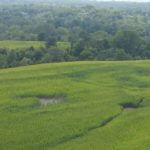 john-oreilly2013-08-26_15-24-09illinois-land-for-sale-fulton-county-hunting-farm-land-921×517