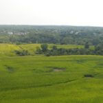 john-oreilly2013-08-26_15-24-07illinois-land-for-sale-fulton-county-hunting-farm-land-921×517