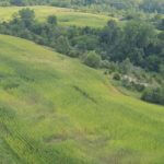 john-oreilly2013-08-26_15-23-54illinois-land-for-sale-fulton-county-hunting-farm-land-921×517