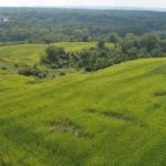 john-oreilly2013-08-26_15-22-33illinois-land-for-sale-fulton-county-hunting-farm-land-921×517