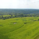 john-oreilly2013-08-26_15-22-29illinois-land-for-sale-fulton-county-hunting-farm-land-921×517