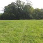 donnie-danner-piece-047-921×517