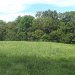 donnie-danner-piece-046-921×517