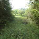 donnie-danner-piece-045-921×517