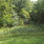 donnie-danner-piece-039-921×517