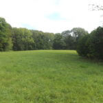 donnie-danner-piece-038-921×517