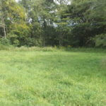 donnie-danner-piece-036-921×517