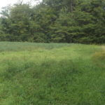 donnie-danner-piece-035-921×517