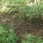 donnie-danner-piece-034-921×517