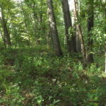 donnie-danner-piece-033-921×517