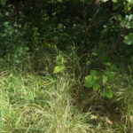 donnie-danner-piece-032-921×517