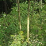 donnie-danner-piece-031-921×517