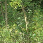 donnie-danner-piece-030-921×517