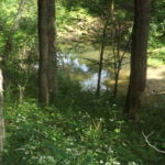 donnie-danner-piece-028-921×517