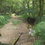 donnie-danner-piece-027-921×517