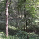 donnie-danner-piece-026-921×517