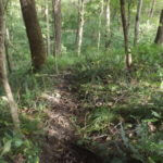 donnie-danner-piece-025-921×517