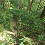 donnie-danner-piece-024-921×517