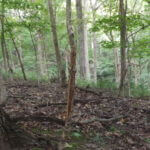 donnie-danner-piece-023-921×517