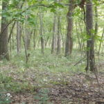 donnie-danner-piece-022-921×517