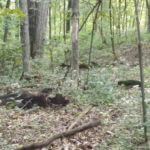 donnie-danner-piece-021-921×517