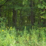 donnie-danner-piece-020-921×517