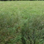 donnie-danner-piece-019-921×517