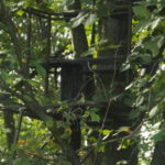 donnie-danner-piece-018-921×517