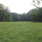 donnie-danner-piece-017-921×517