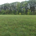 donnie-danner-piece-016-921×517