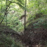 donnie-danner-piece-015-921×517