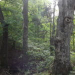 donnie-danner-piece-014-921×517