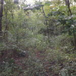 donnie-danner-piece-013-921×517