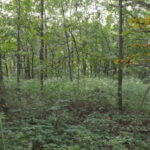 donnie-danner-piece-012-921×517