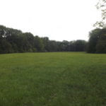 donnie-danner-piece-010-921×517