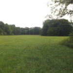 donnie-danner-piece-009-921×517