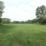 donnie-danner-piece-008-921×517