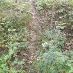 donnie-danner-piece-007-921×517